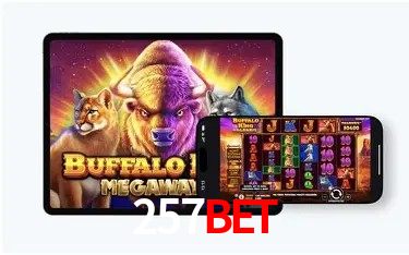 Recursos de Bônus 257bet